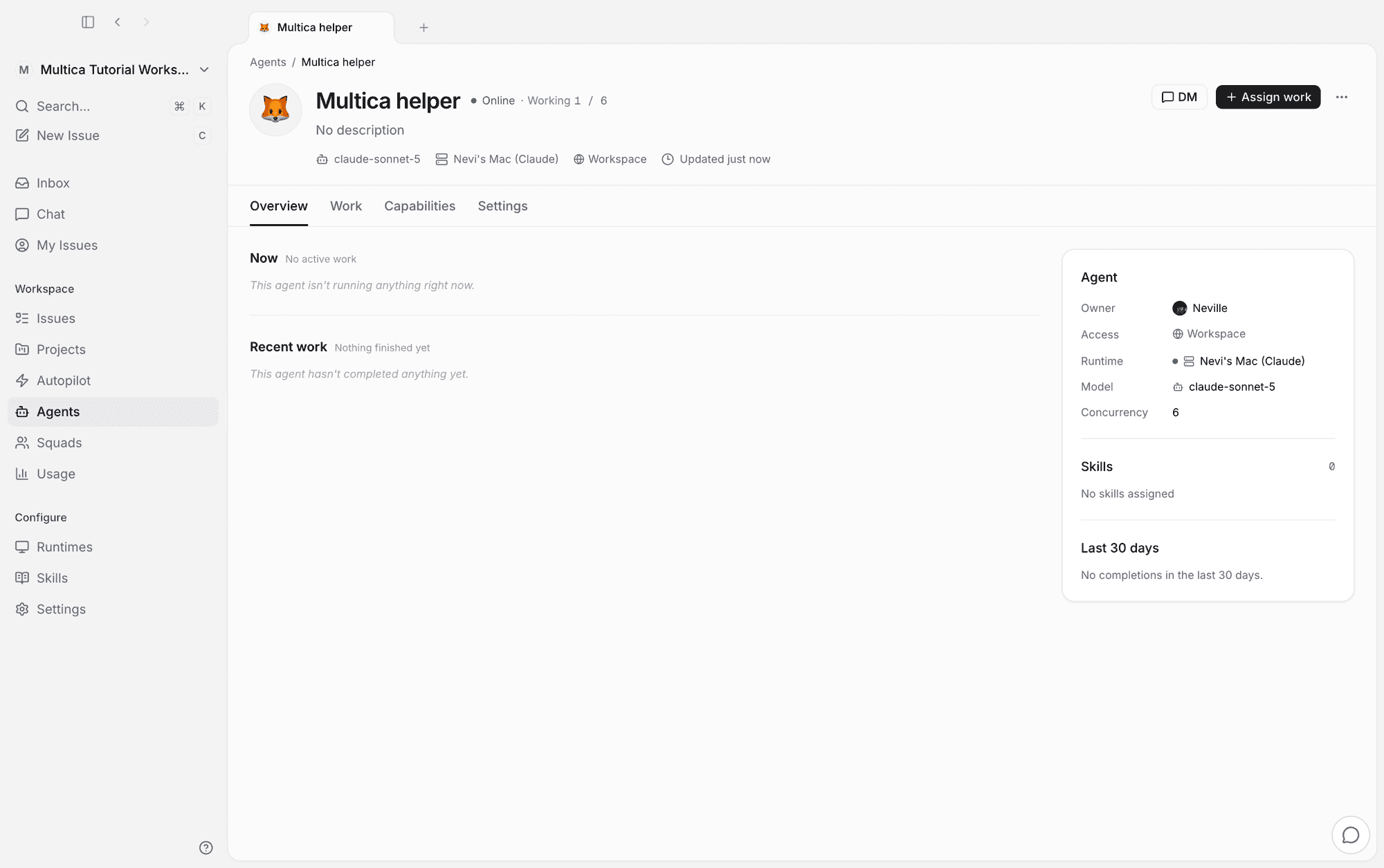 Agent detail: Multica helper online
